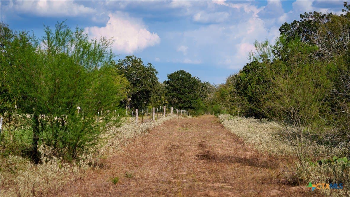 314 acres in Gonzales County - photo 10