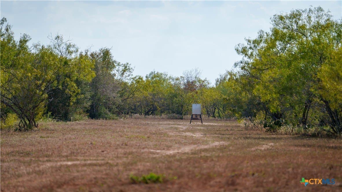 314 acres in Gonzales County - photo 12