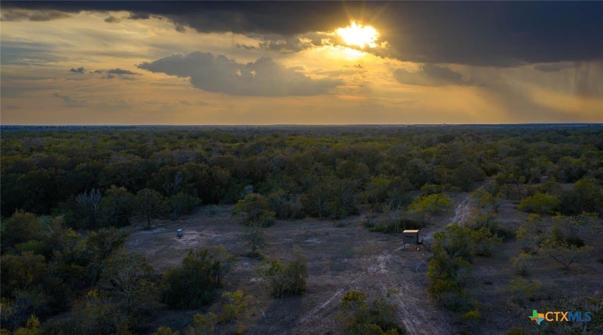 314 acres in Gonzales County featured view