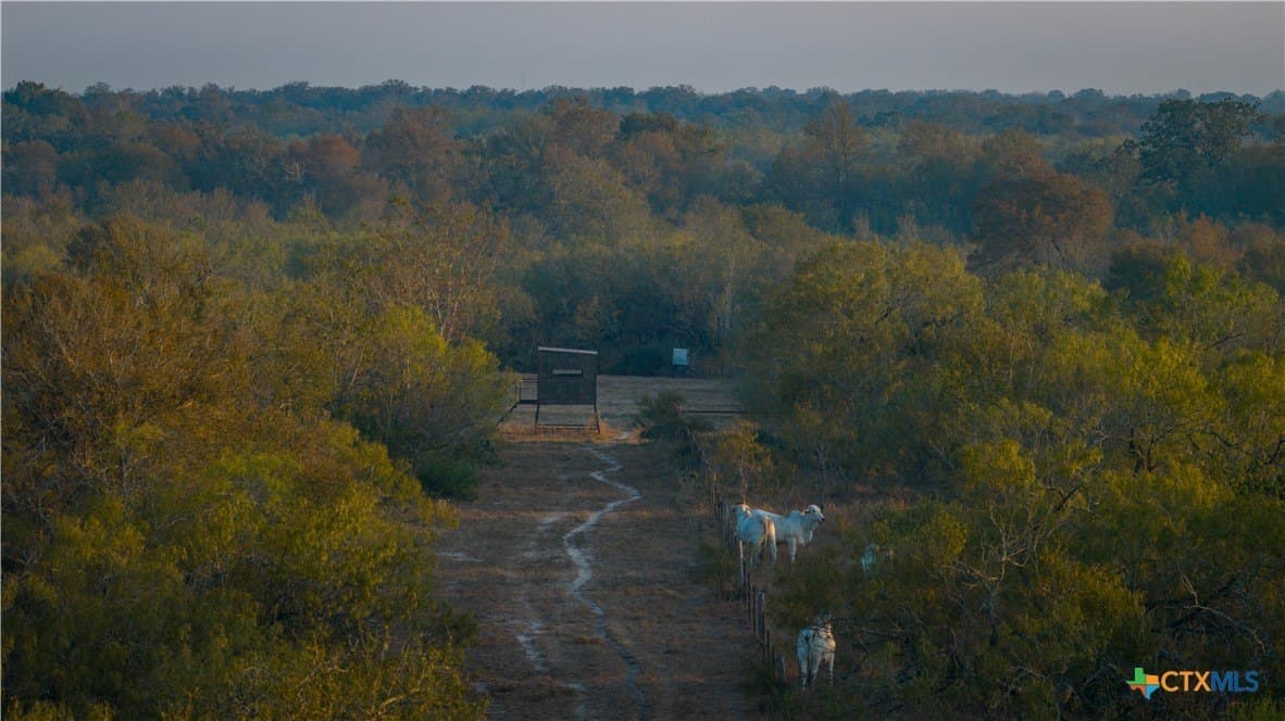314 acres in Gonzales County - photo 8