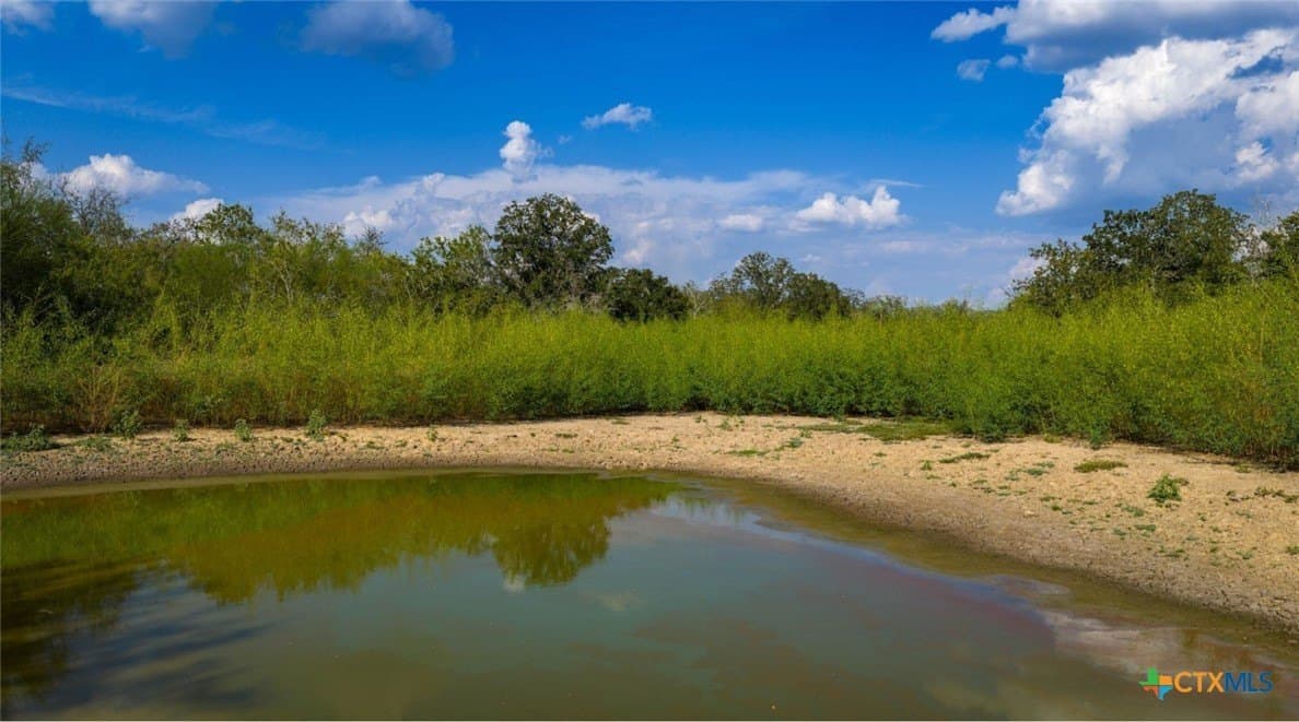 314 acres in Gonzales County gallery image 3
