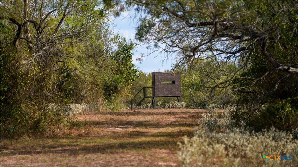 314 acres in Gonzales County - photo 11