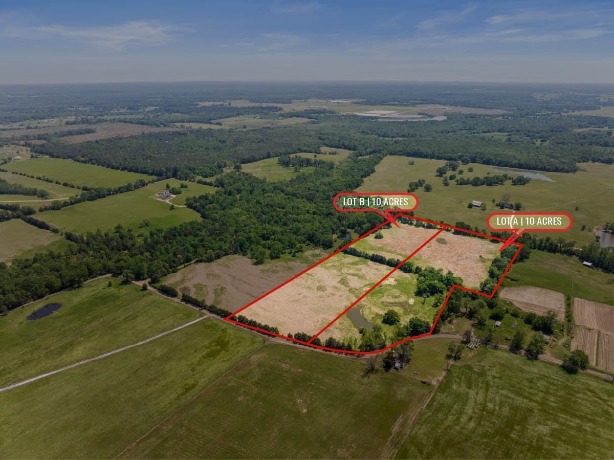 10 acres in Camp County - photo 4
