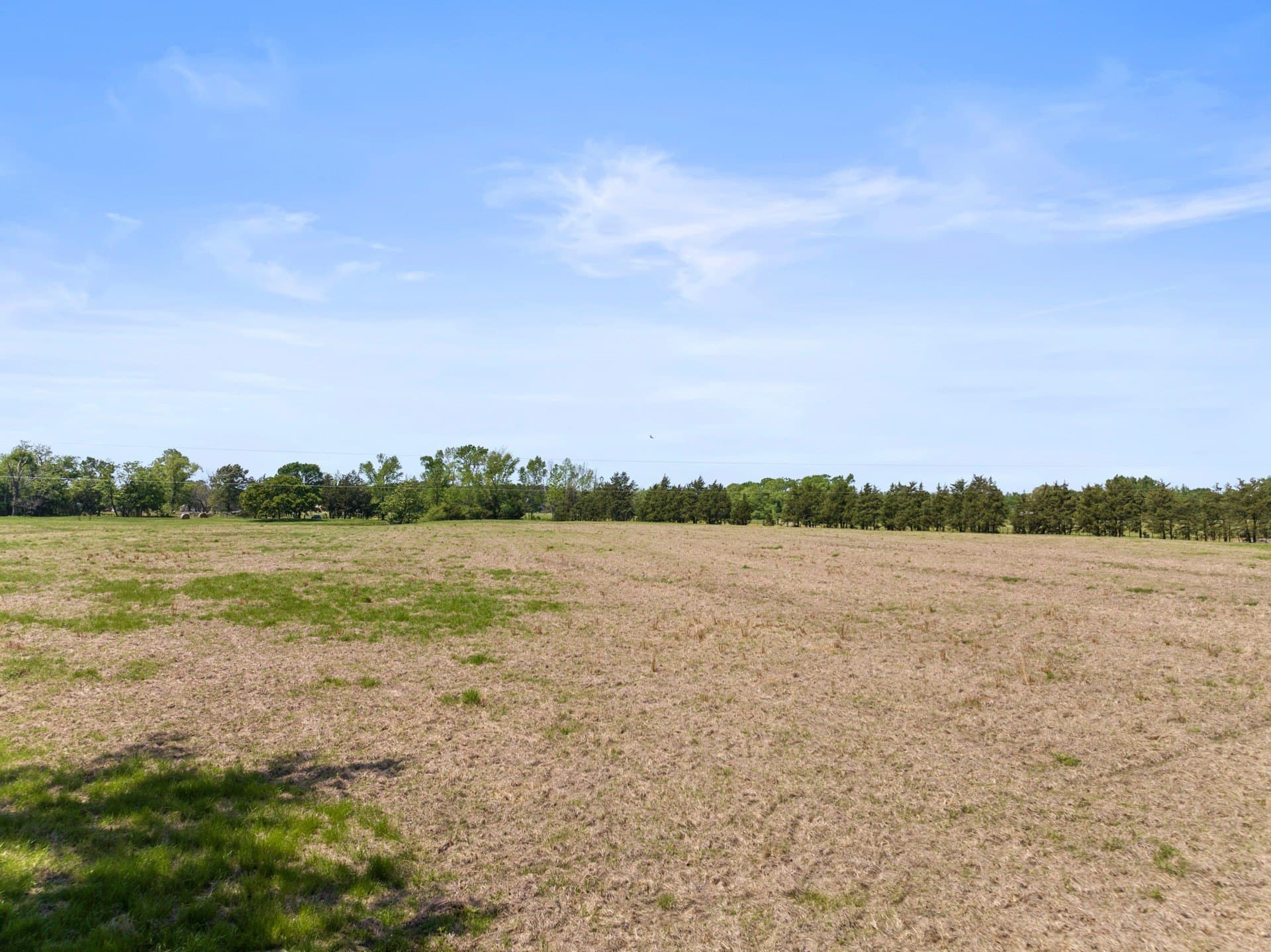 10 acres in Camp County - photo 3
