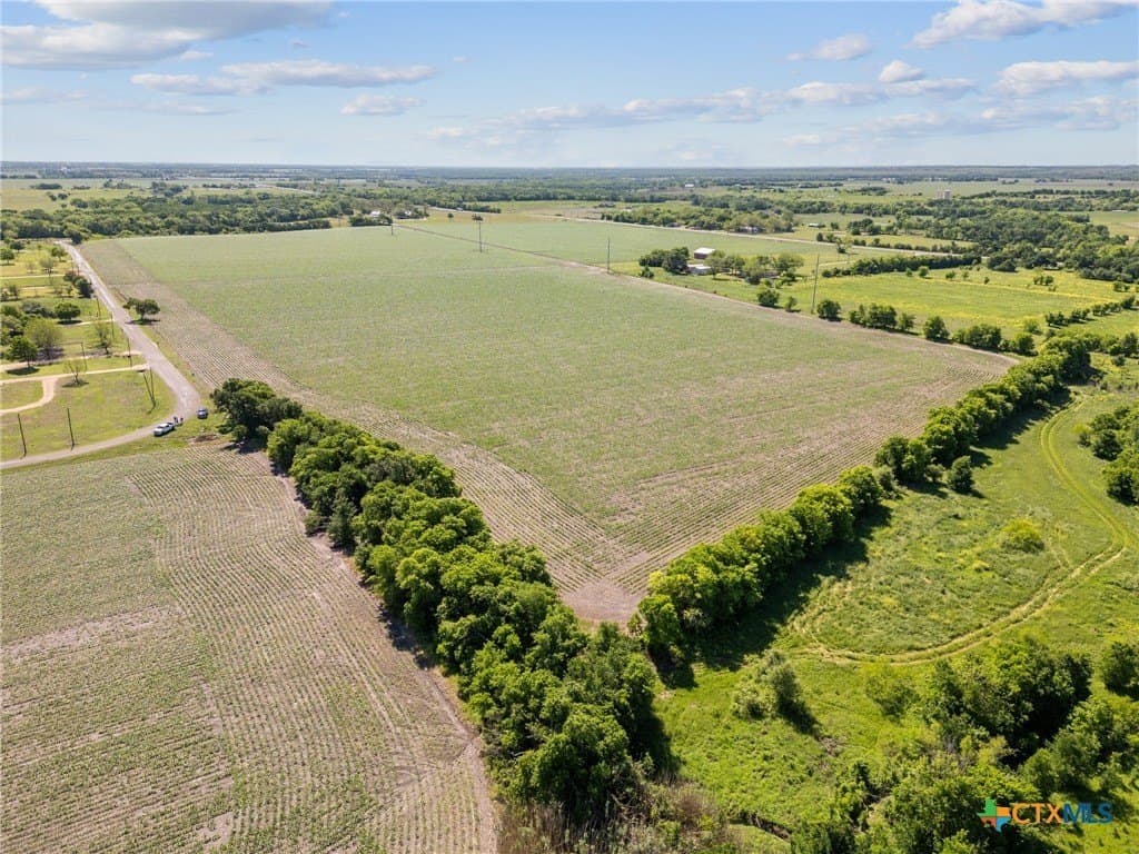 12 acres in Bell County gallery image 2