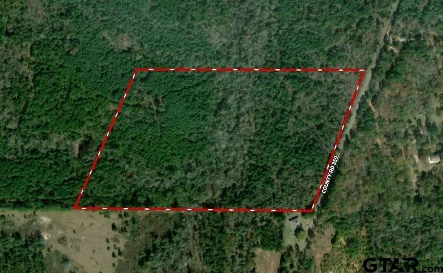 40 acres in Smith County gallery image 2