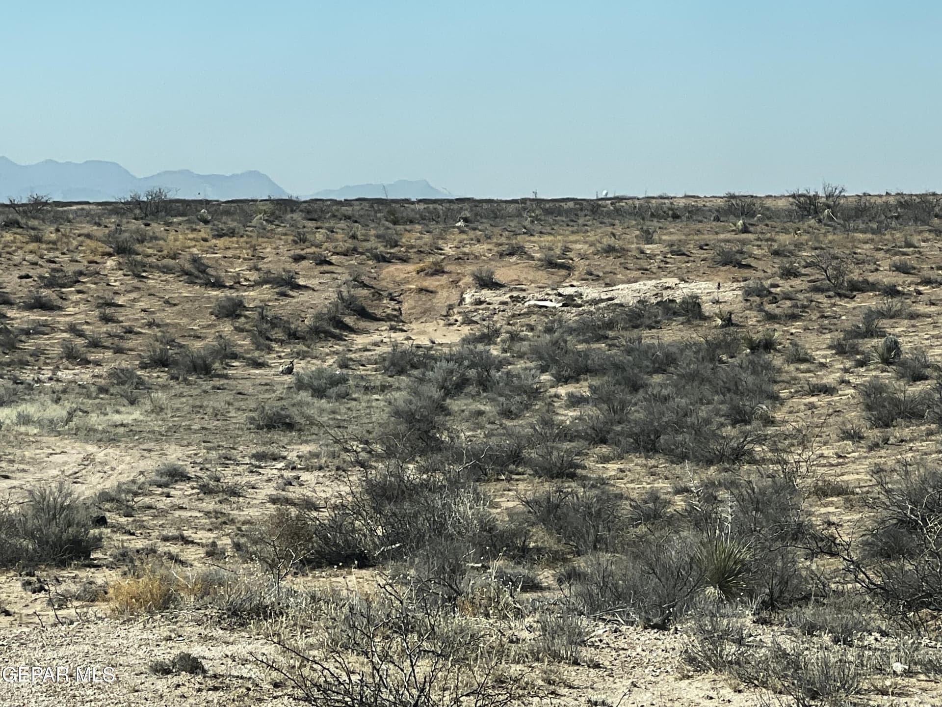 0.21 acres in El Paso County gallery image 2