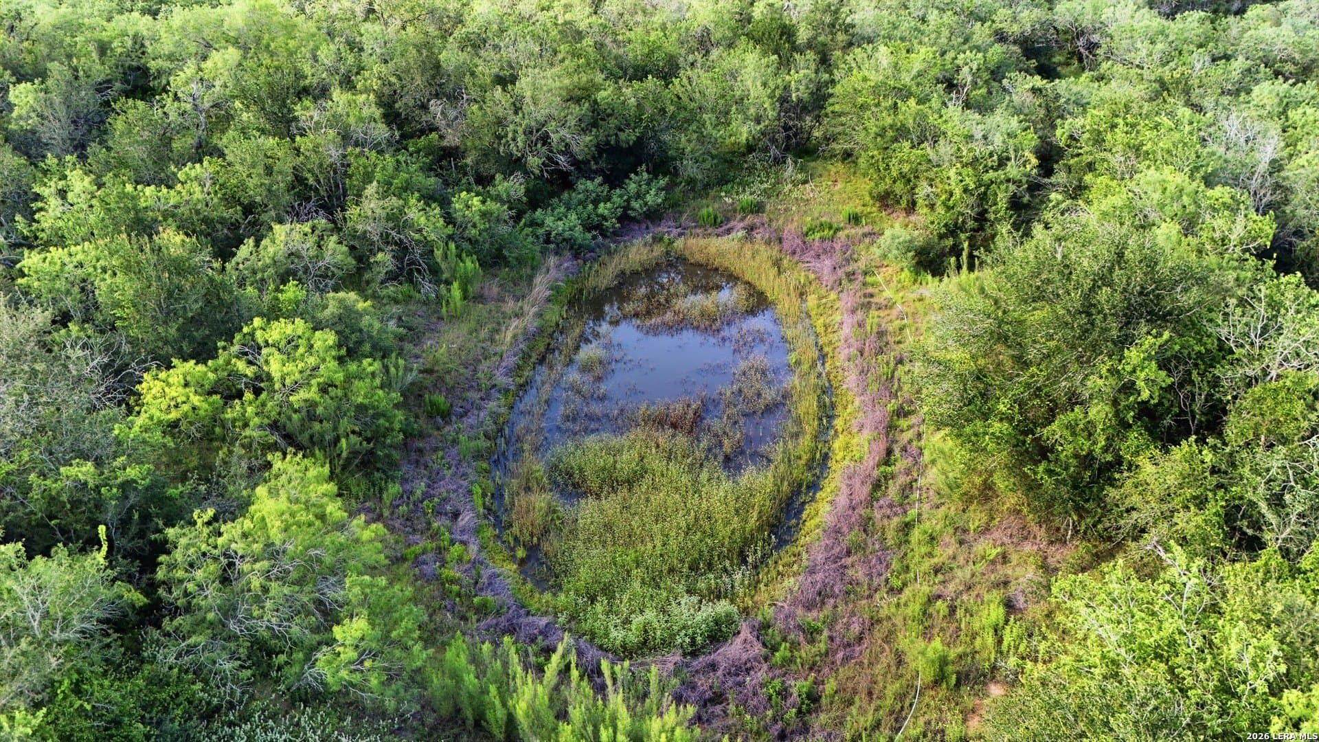 4.69 acres in Guadalupe County - photo 12