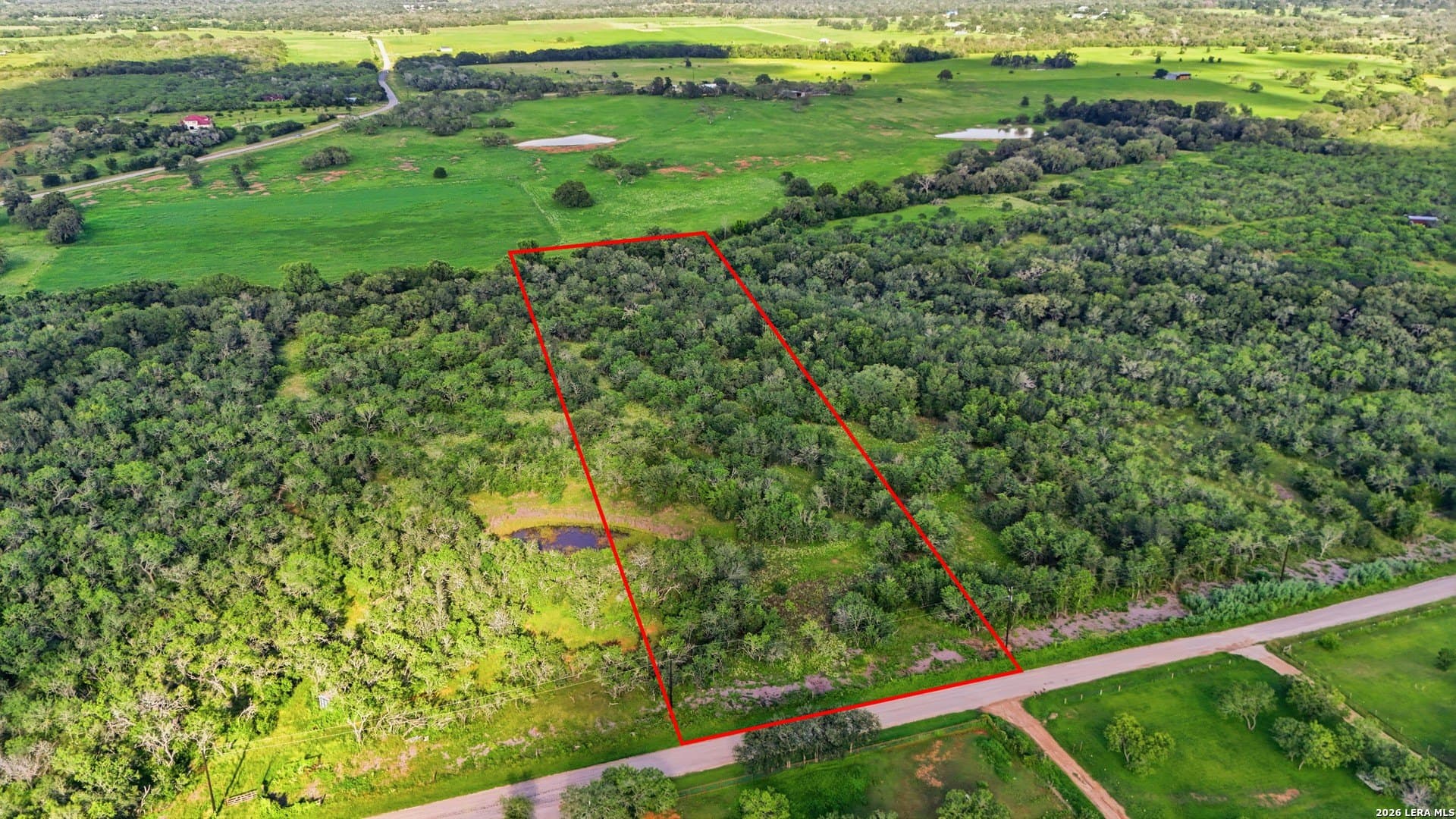 4.69 acres in Guadalupe County gallery image 4