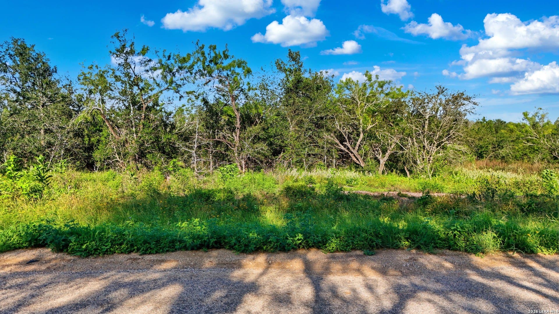 4.69 acres in Guadalupe County gallery image 2
