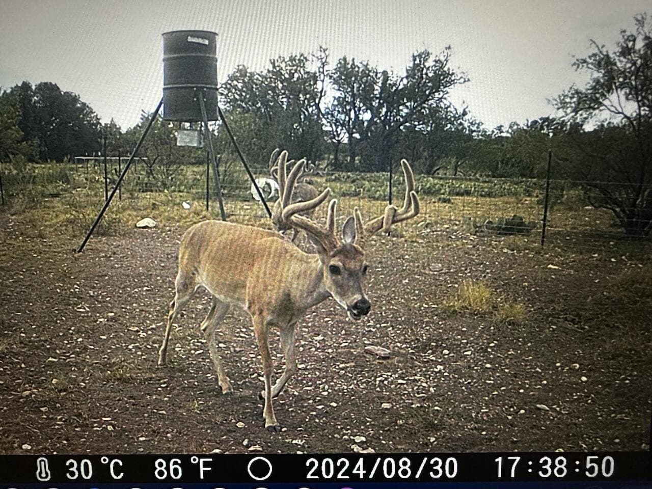 24.02 acres in Schleicher County