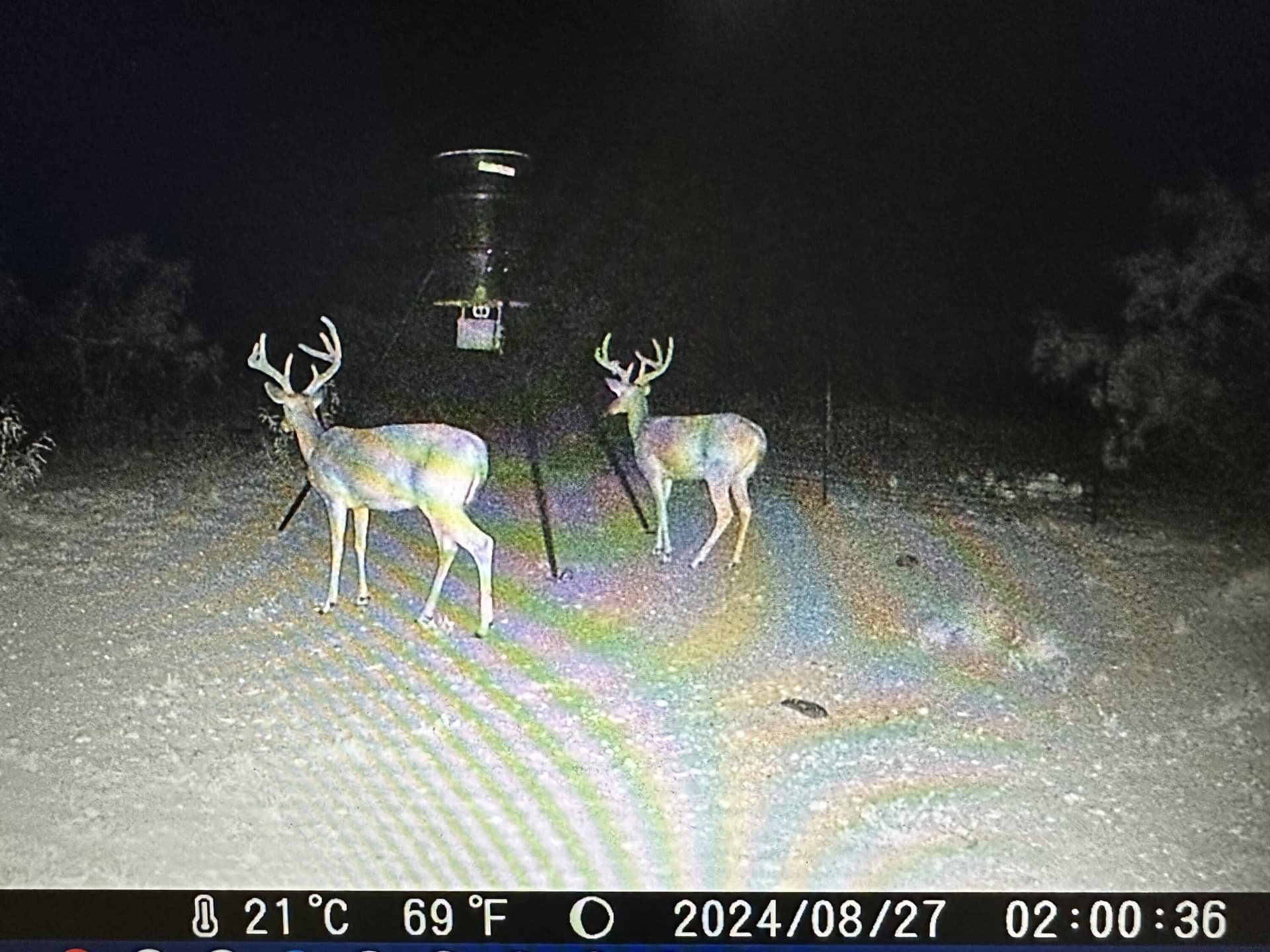 24.02 acres in Schleicher County gallery image 2