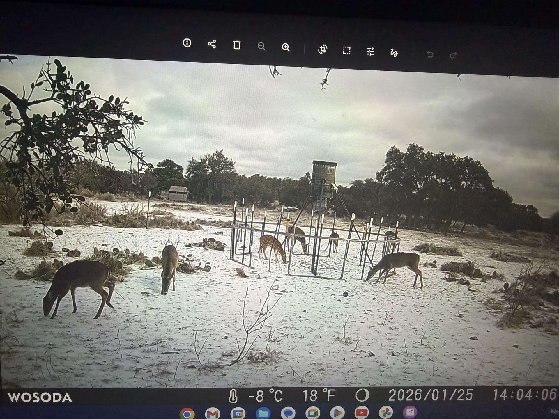 24.02 acres in Schleicher County - photo 8