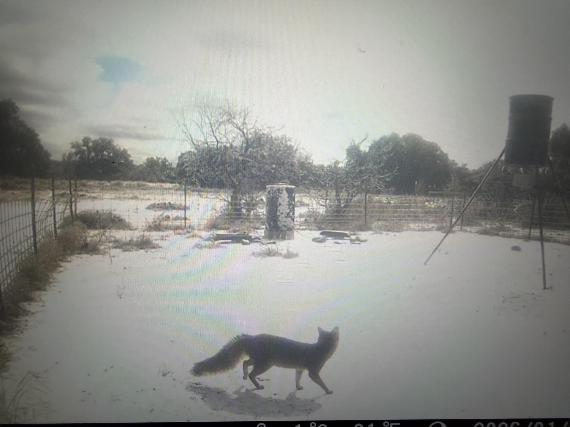 24.02 acres in Schleicher County - photo 15