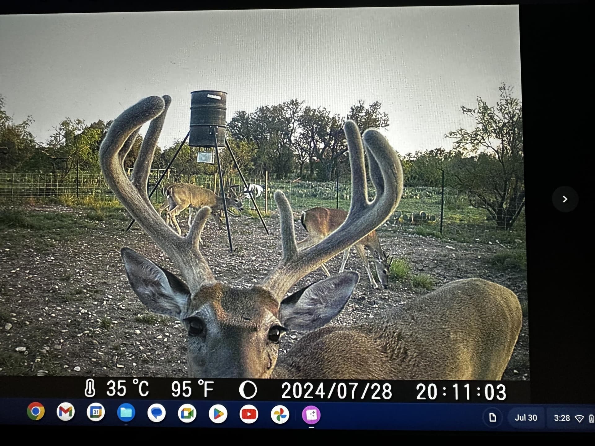 24.02 acres in Schleicher County gallery image 3