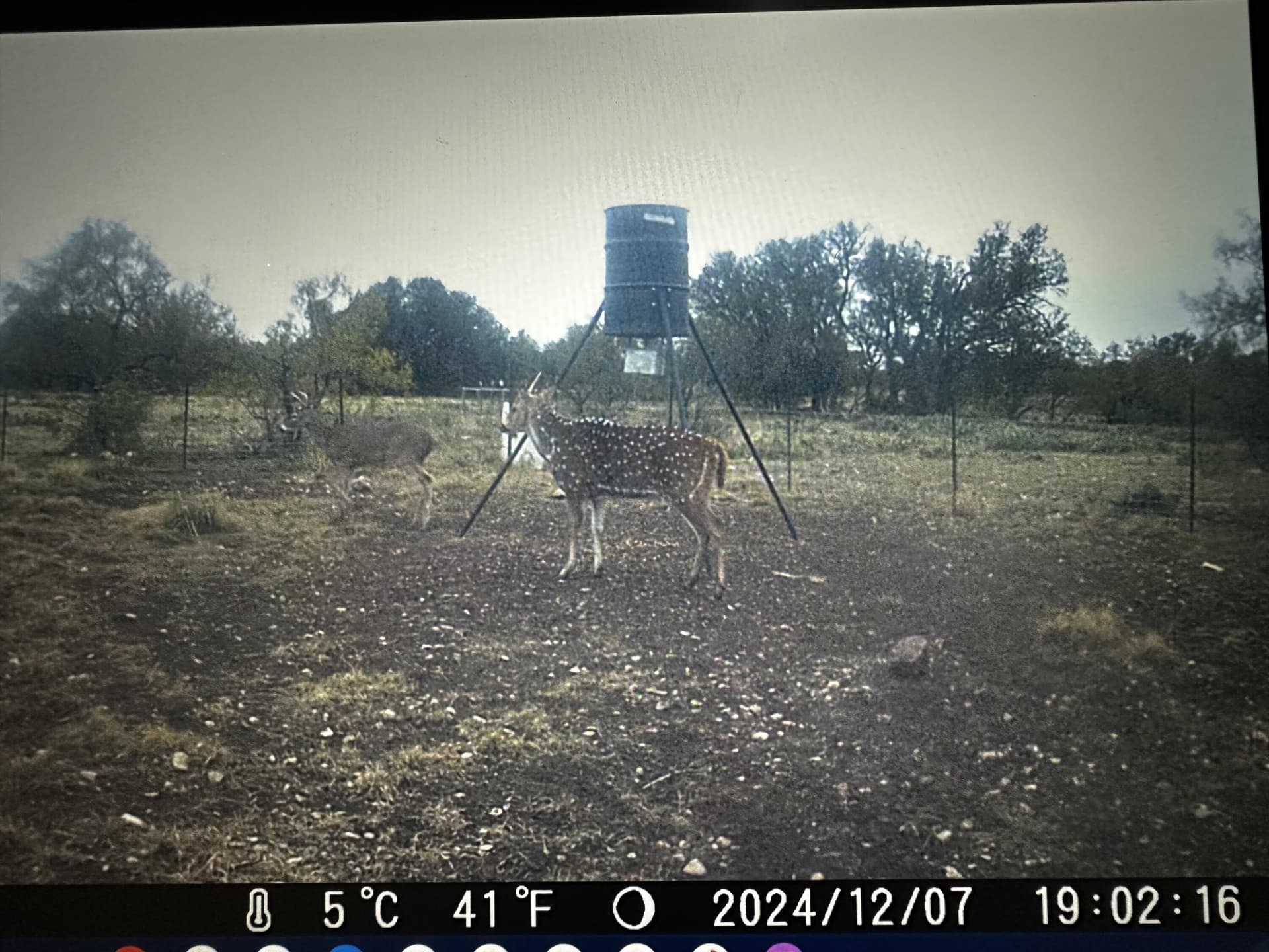 24.02 acres in Schleicher County - photo 7