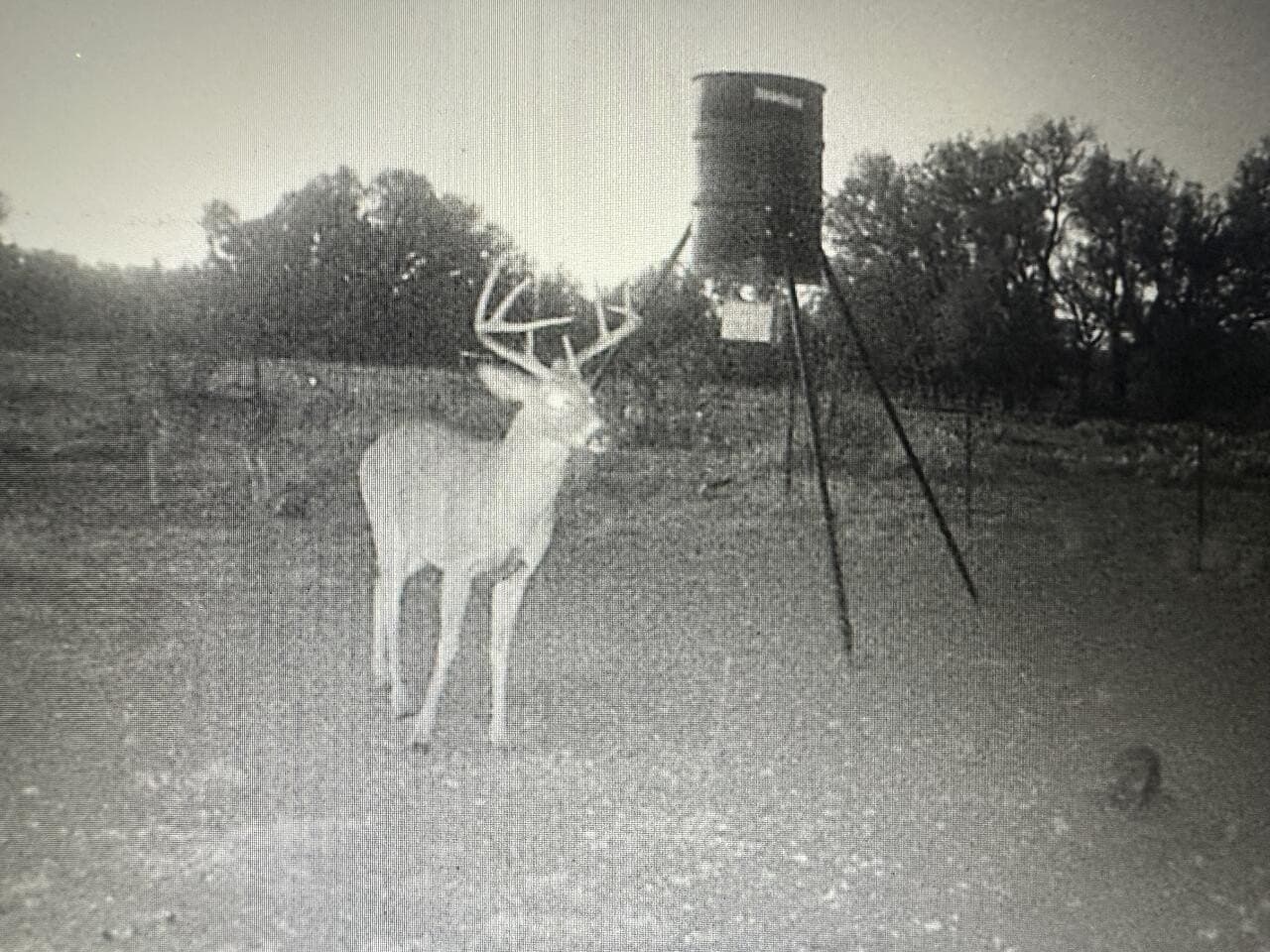 24.02 acres in Schleicher County gallery image 4