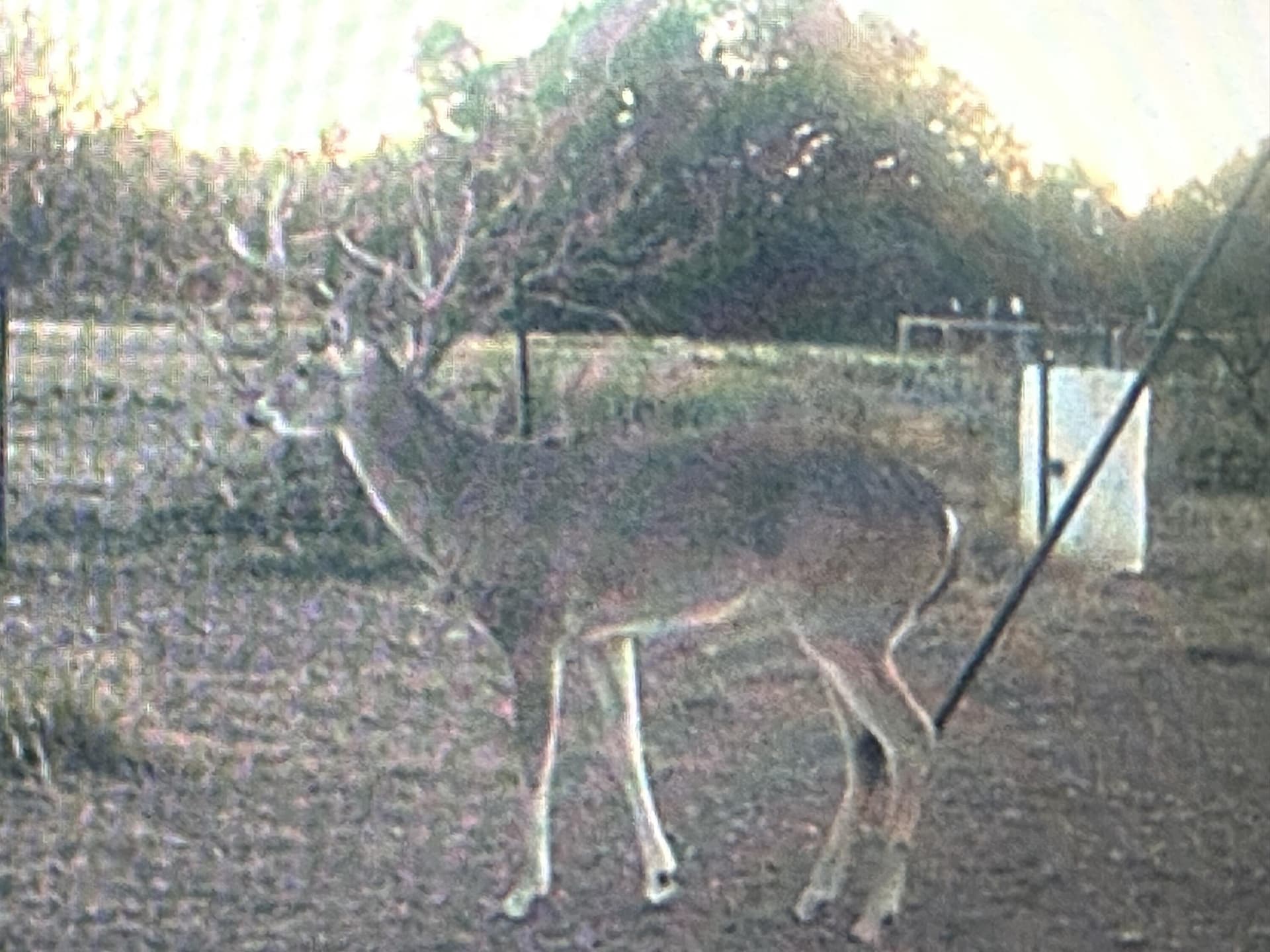 24.02 acres in Schleicher County - photo 6