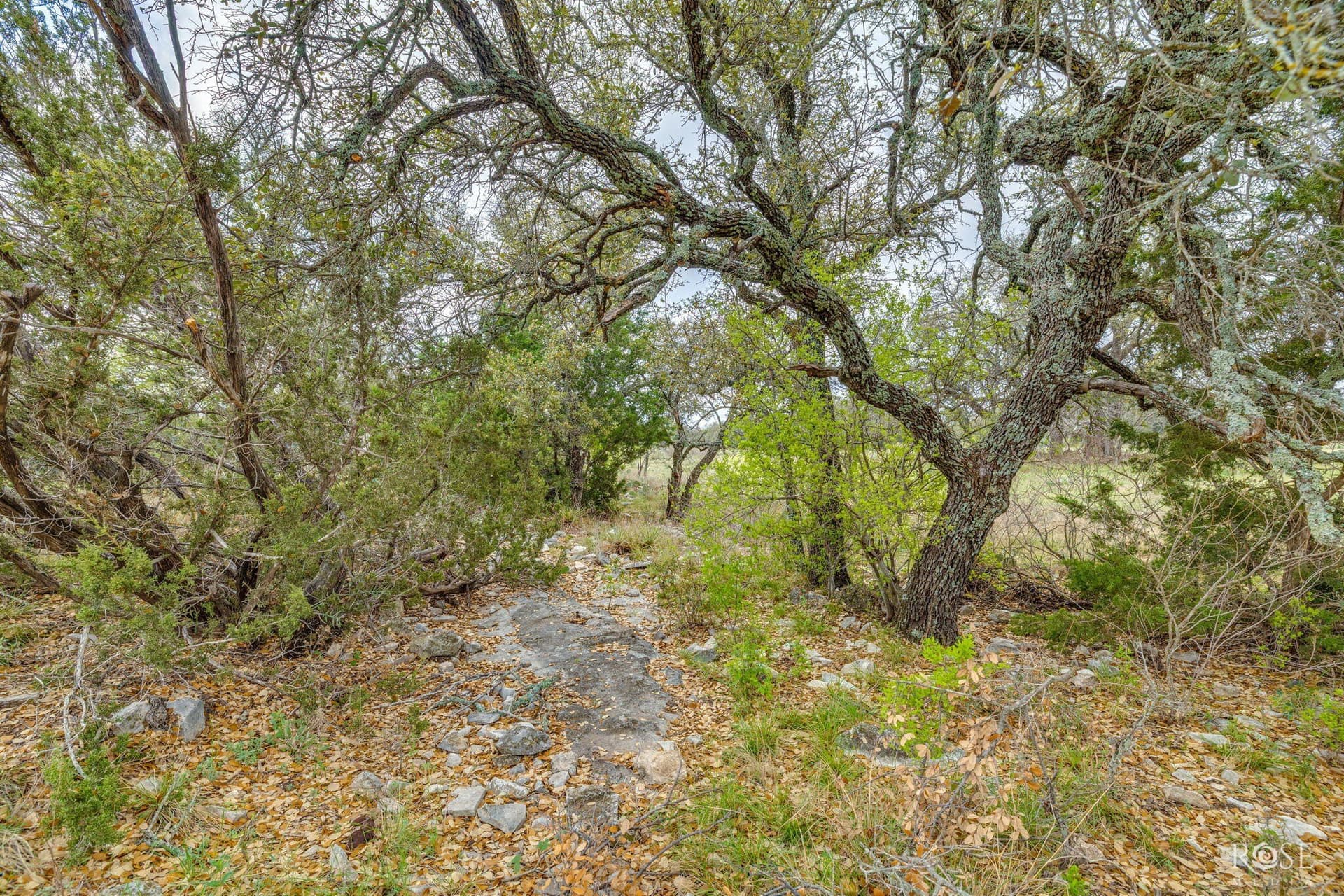 24.02 acres in Schleicher County - photo 38