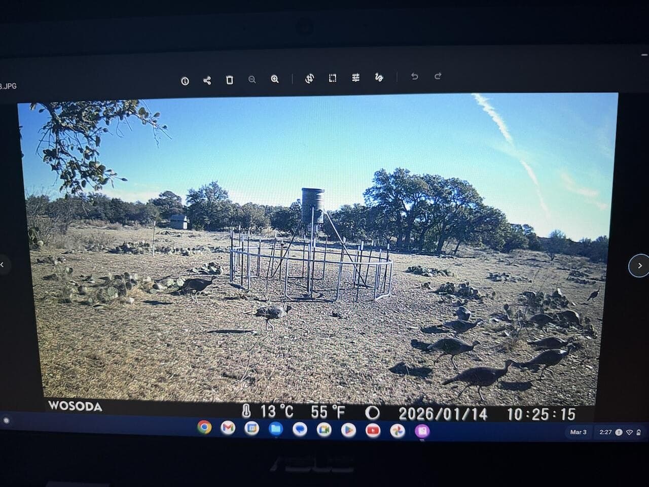24.02 acres in Schleicher County - photo 16