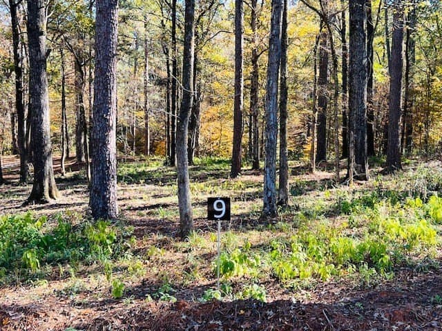 1.53 acres in Texas County - photo 6