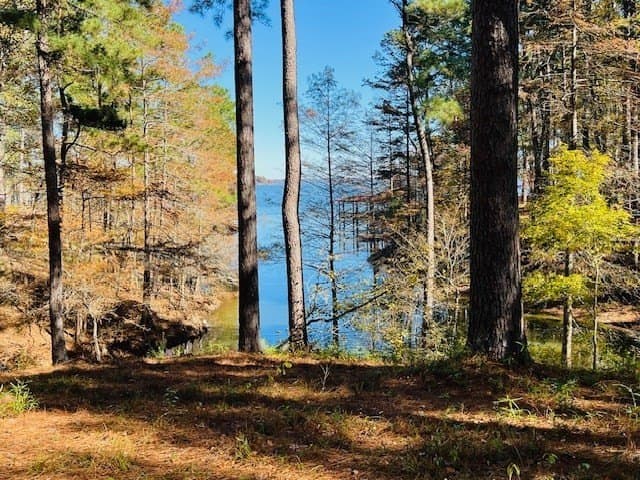 1.53 acres in Texas County gallery image 3