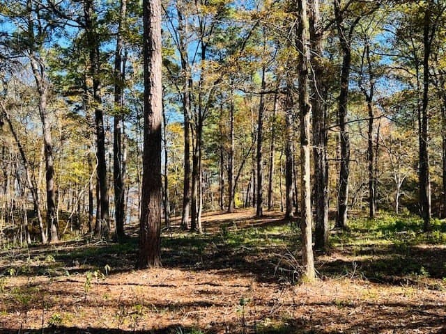 1.53 acres in Texas County featured view