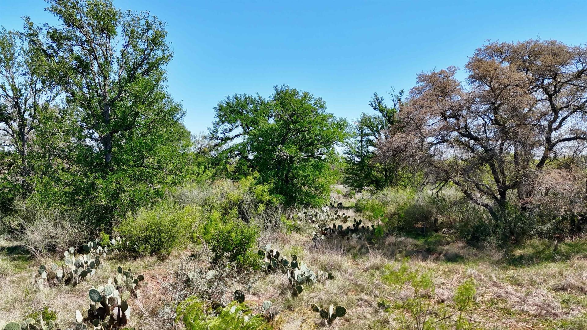 5.63 acres in Llano County gallery image 4