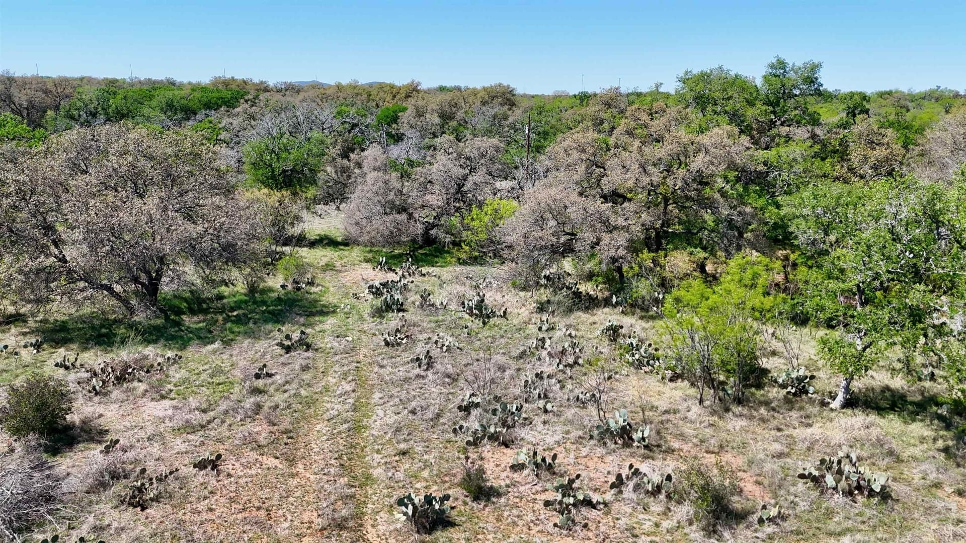 5.63 acres in Llano County gallery image 2