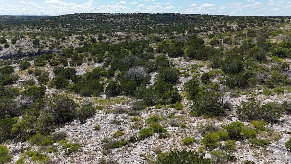 175 acres in Val Verde County - photo 28