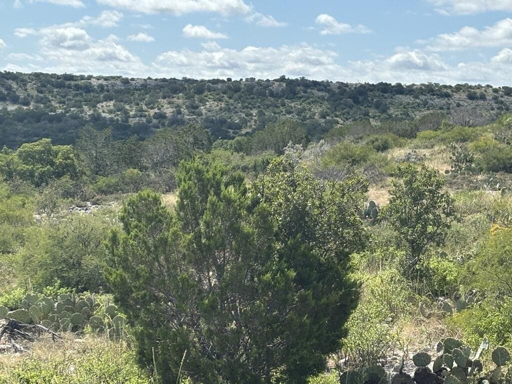 175 acres in Val Verde County - photo 12