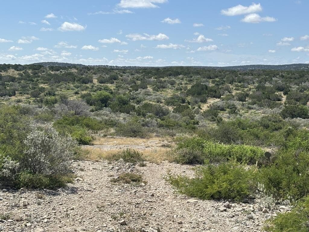 175 acres in Val Verde County - photo 16