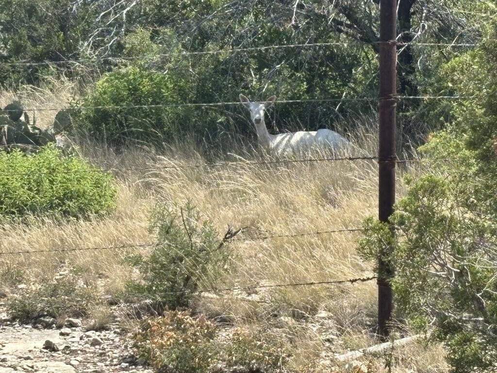 175 acres in Val Verde County - photo 20