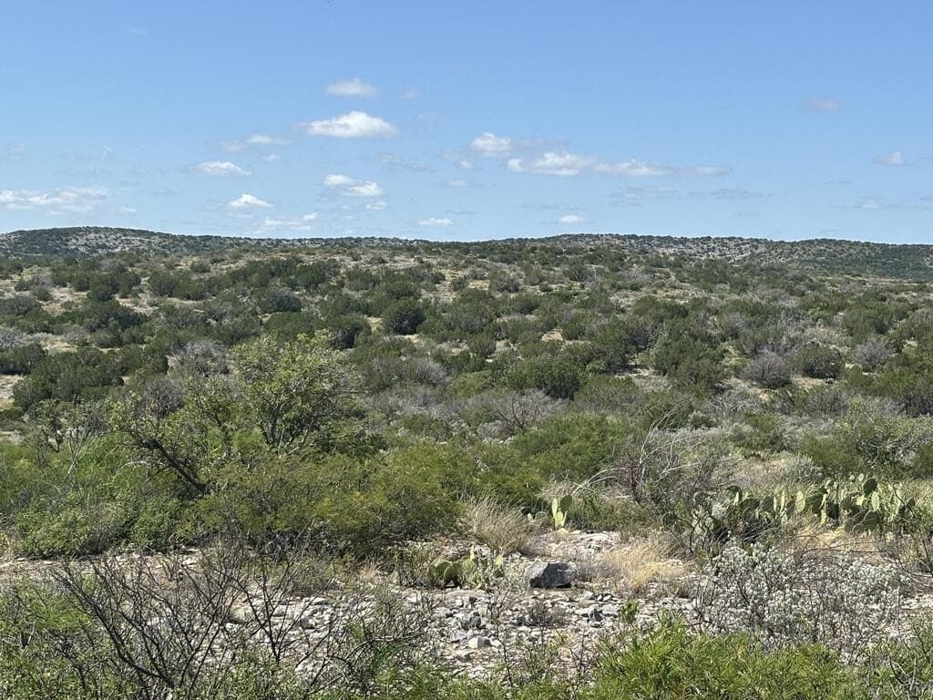 175 acres in Val Verde County - photo 18
