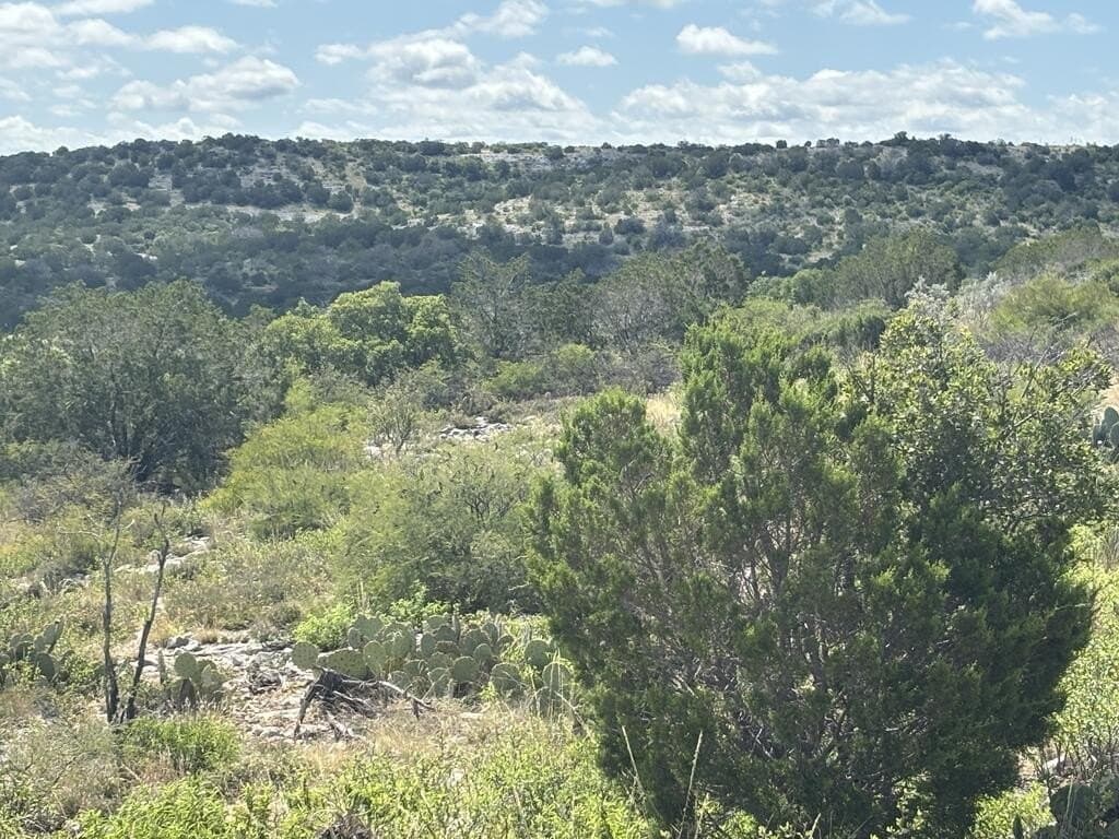 175 acres in Val Verde County - photo 13