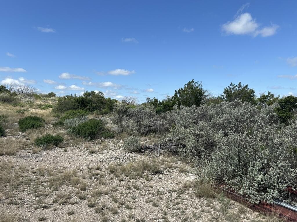 175 acres in Val Verde County - photo 14