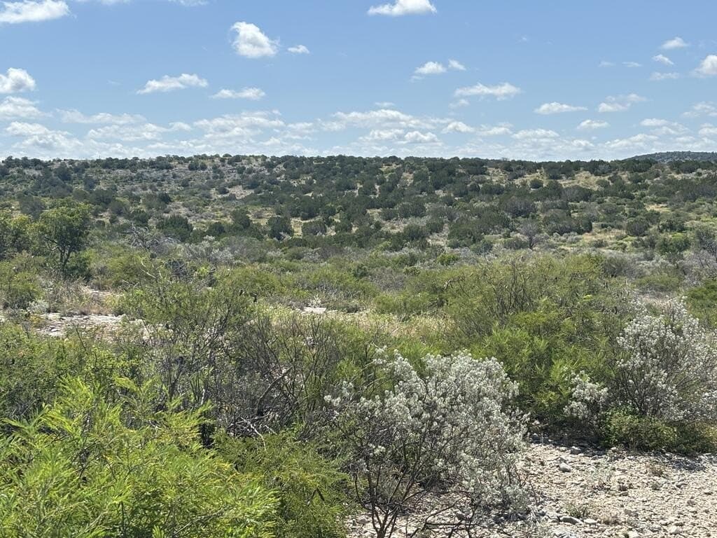 175 acres in Val Verde County - photo 17