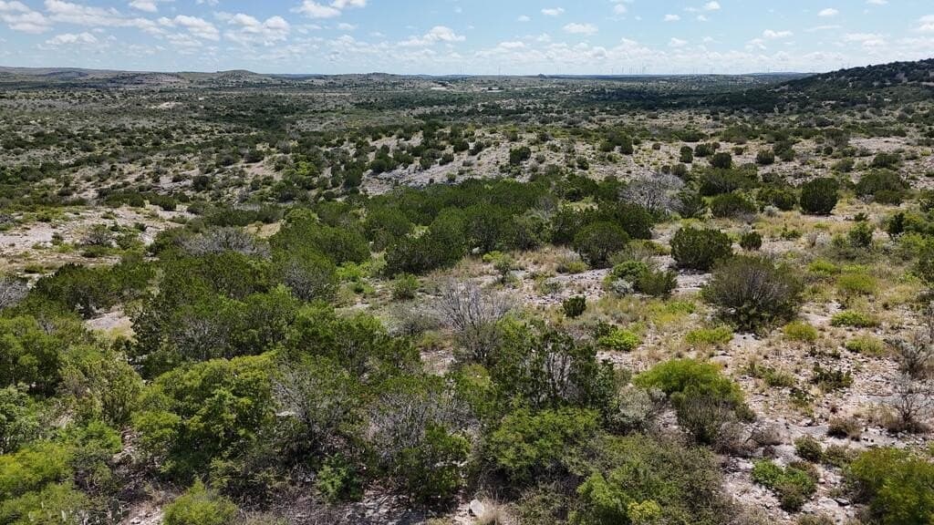 175 acres in Val Verde County - photo 24