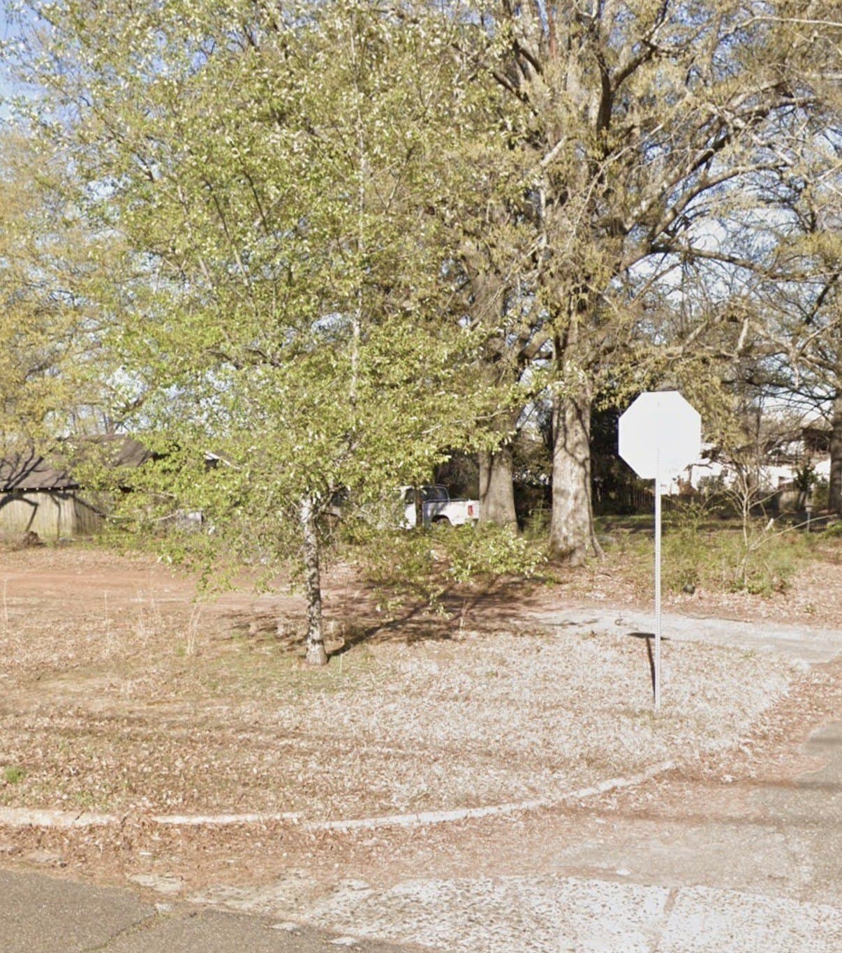 0.29 acres in Bowie County gallery image 4