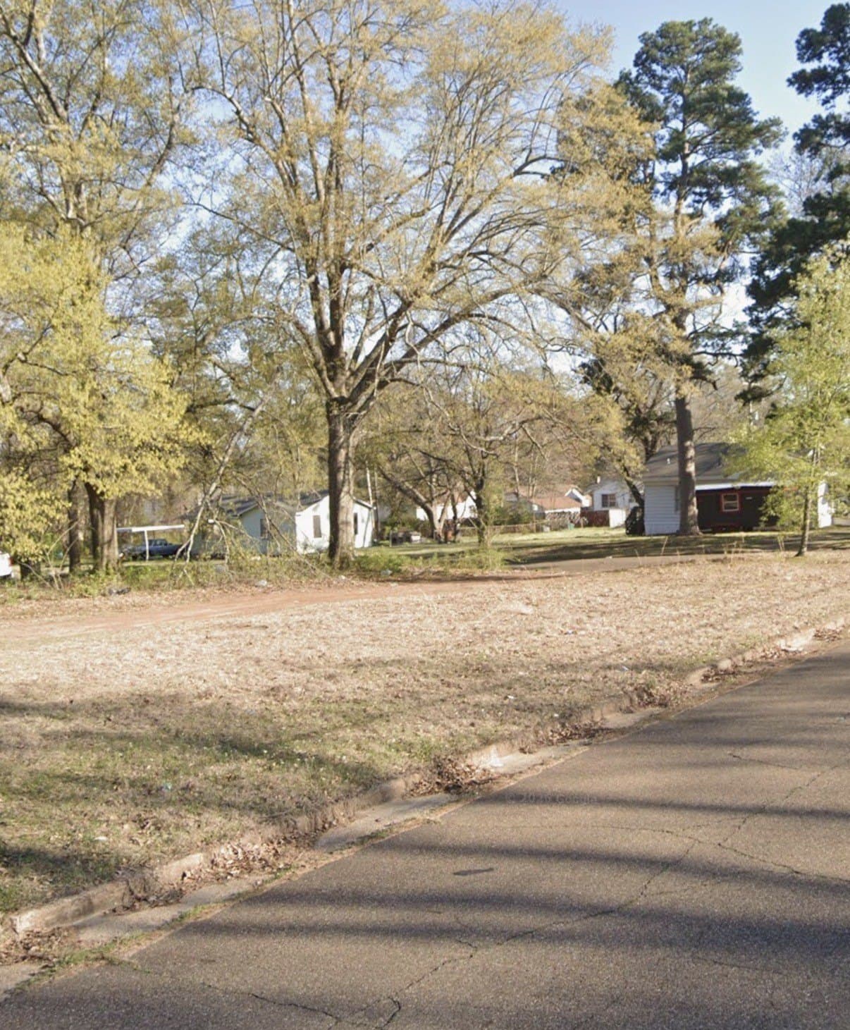 0.29 acres in Bowie County gallery image 2
