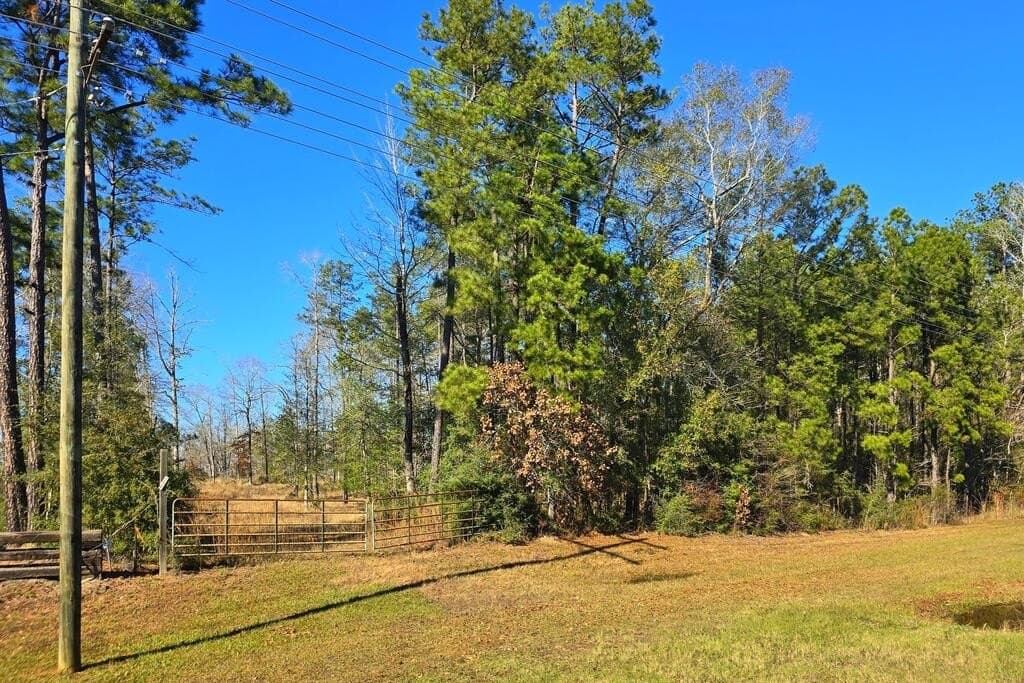5.58 acres in Texas County - photo 4