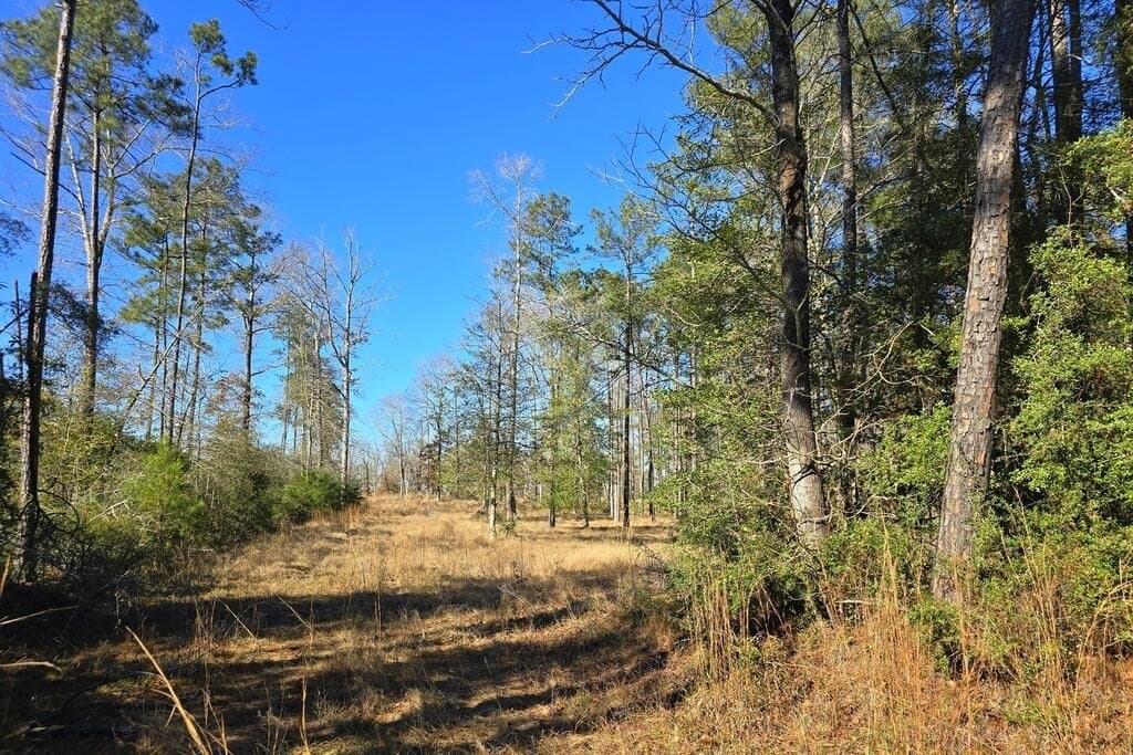 5.58 acres in Texas County - photo 5