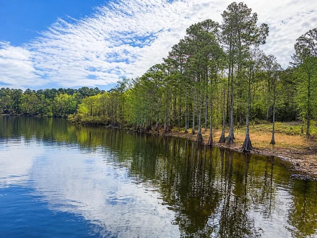 5.58 acres in Texas County