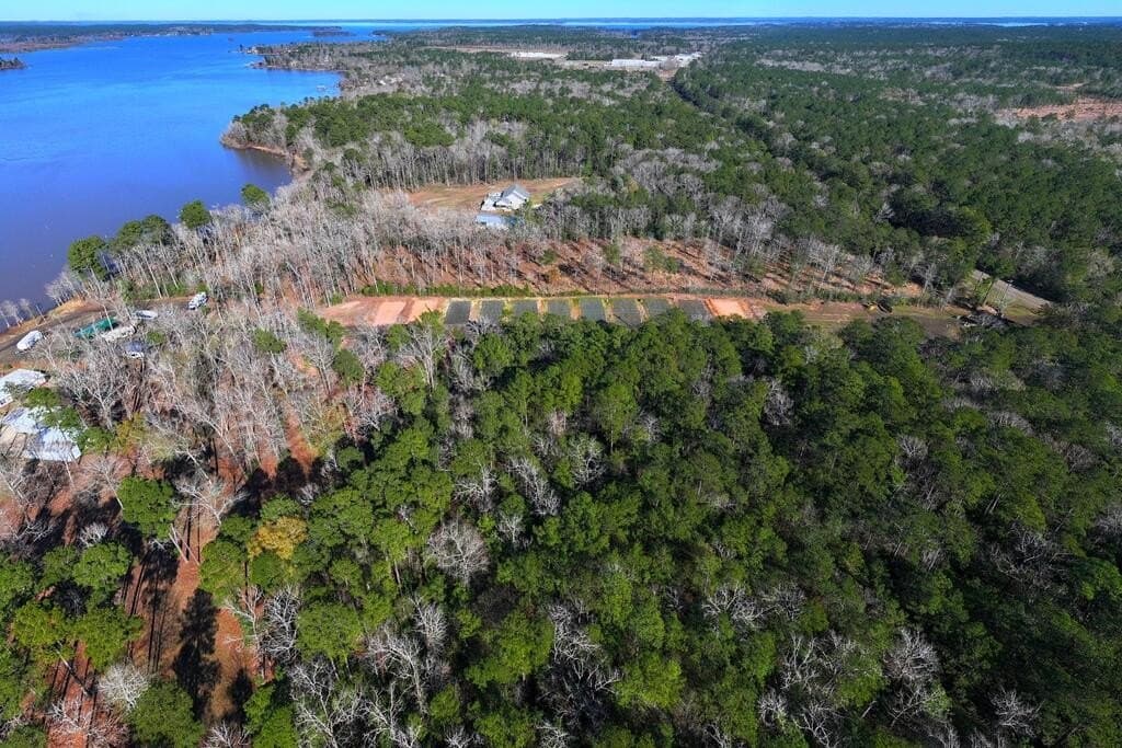 5.58 acres in Texas County - photo 8