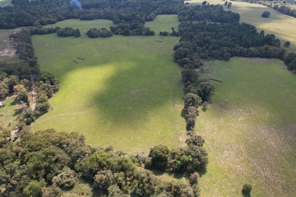 23 acres in Anderson County gallery image 2