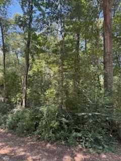 0.33 acres in Texas County - photo 7