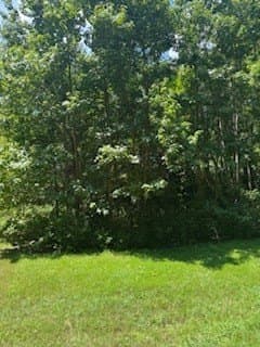 0.33 acres in Texas County gallery image 4
