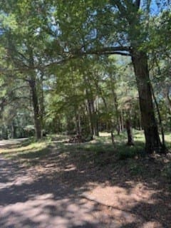 0.33 acres in Texas County - photo 6