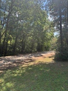 0.33 acres in Texas County gallery image 3