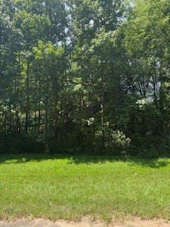 0.33 acres in Texas County featured view